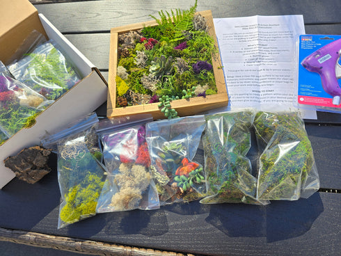 DIY Moss Wall Art Kit