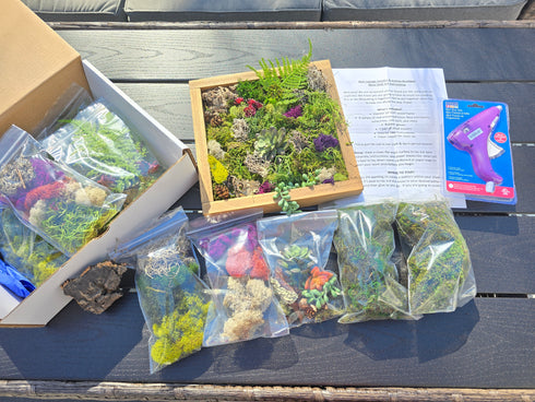 DIY Moss Wall Art Kit