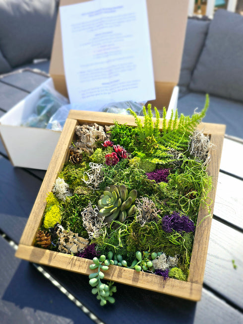 DIY Moss Wall Art Kit